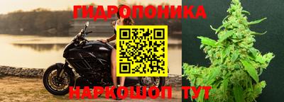 прущие грибы Донецк