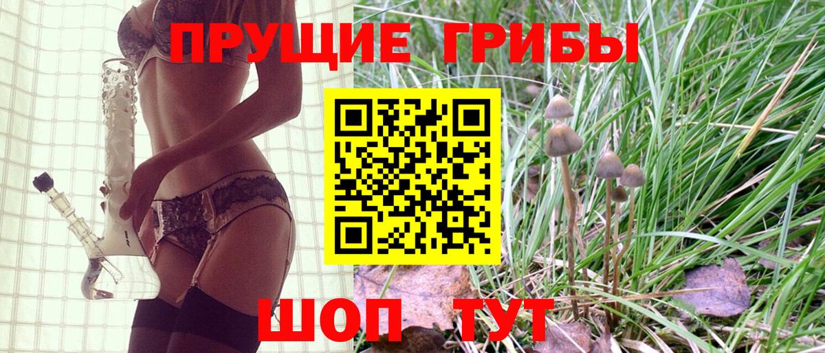Псилоцибиновые грибы MAGIC MUSHROOMS  Галлюциногенные грибы Psilocybe  Москва  Вход с VPN 
